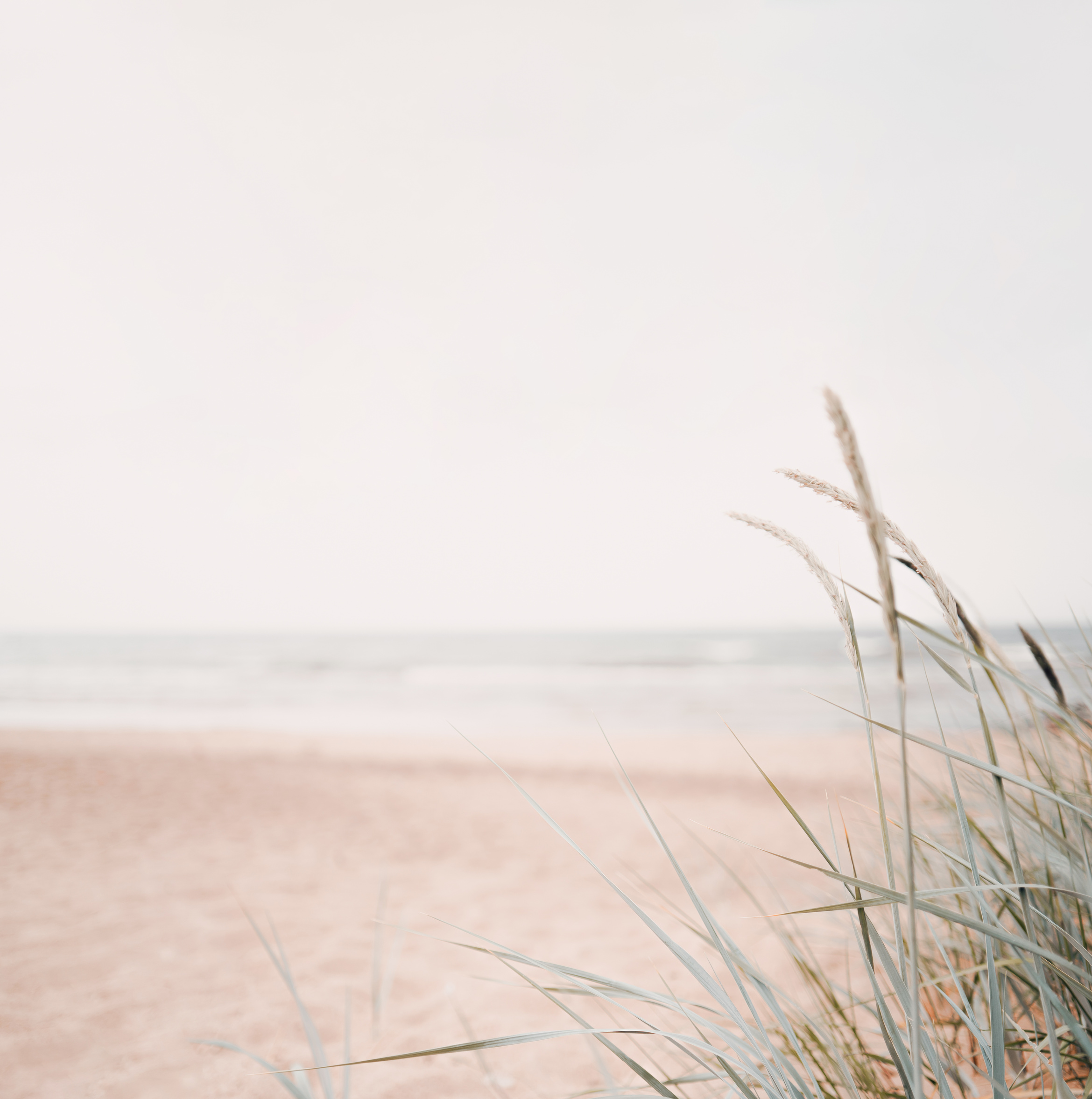Minimalist summer aesthetic beach background with copy space, soft pastels